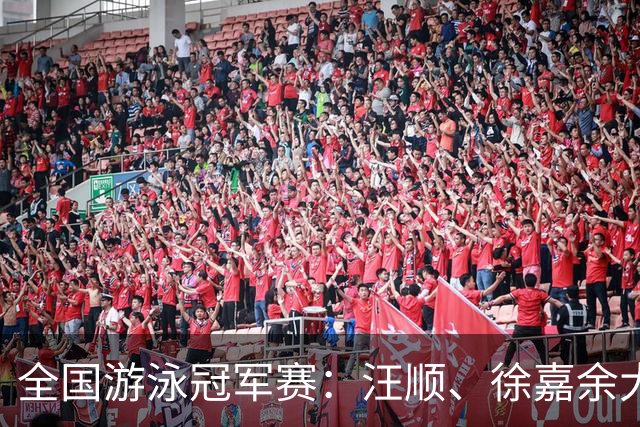 全国游泳冠军赛：汪顺、徐嘉余大幅领先夺冠
