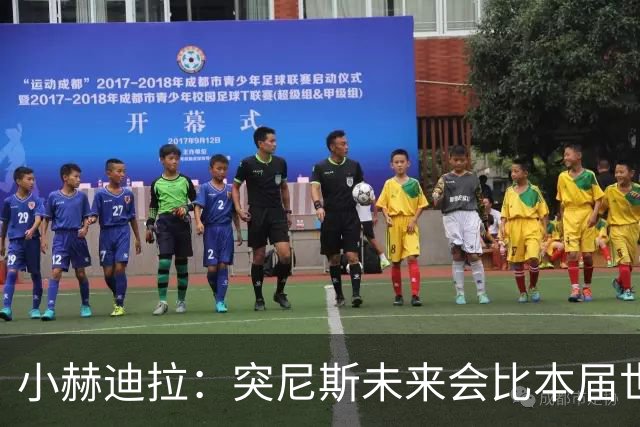 小赫迪拉：突尼斯未来会比本届世界杯更好 批评？我已经付出全力
