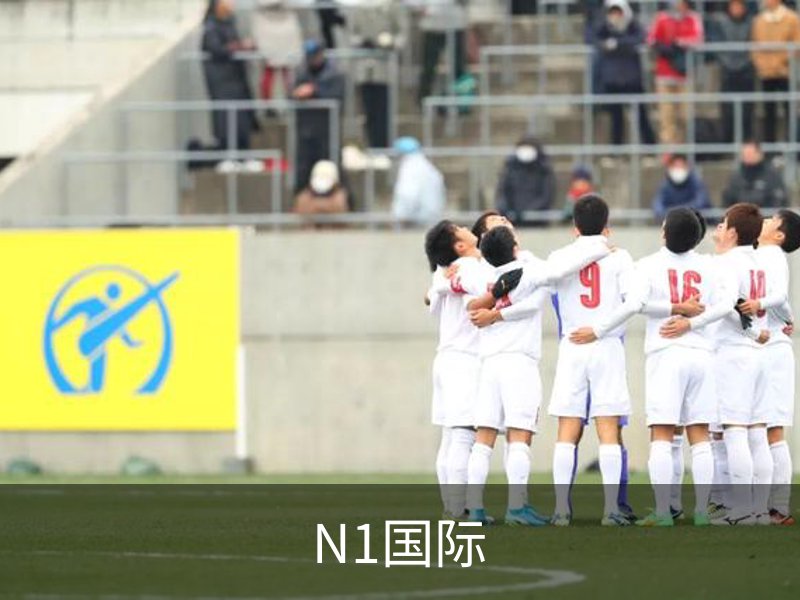 N1国际概况